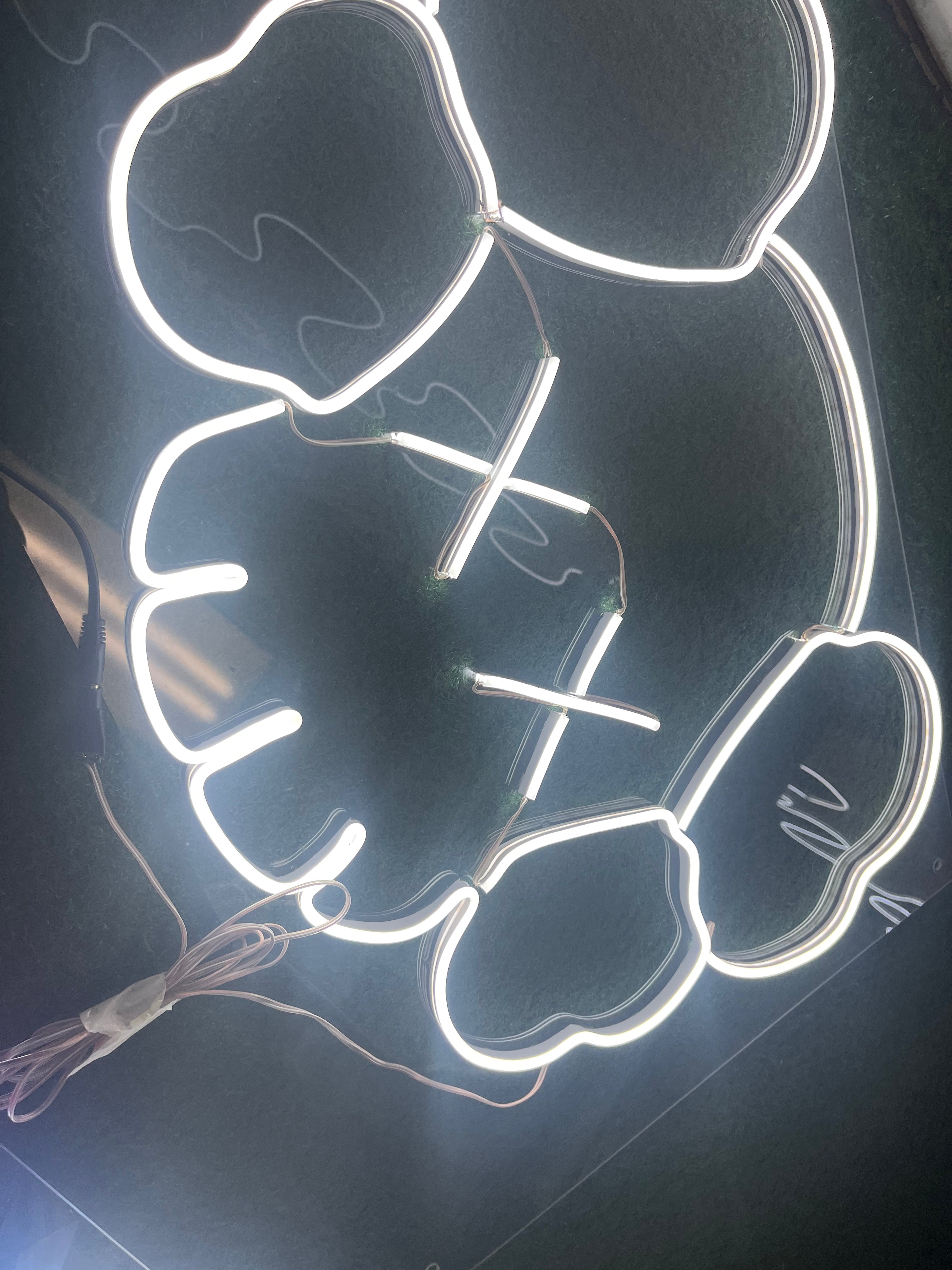KAWS neon light